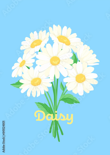 デイジーの花束のベクターイラスト　デザイン素材　白い花の飾り