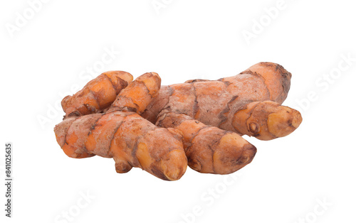 Fresh turmeric roots isolated on transparent png