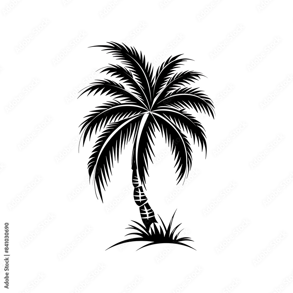 Fototapeta premium palm tree illustration