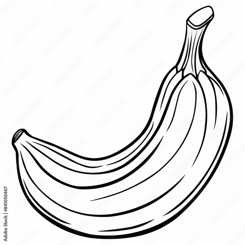 hand drawn vector illustration of a banana hand drawn vector illustration of a banana