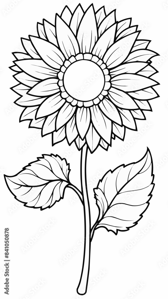 hand drawn flower hand drawn flower
