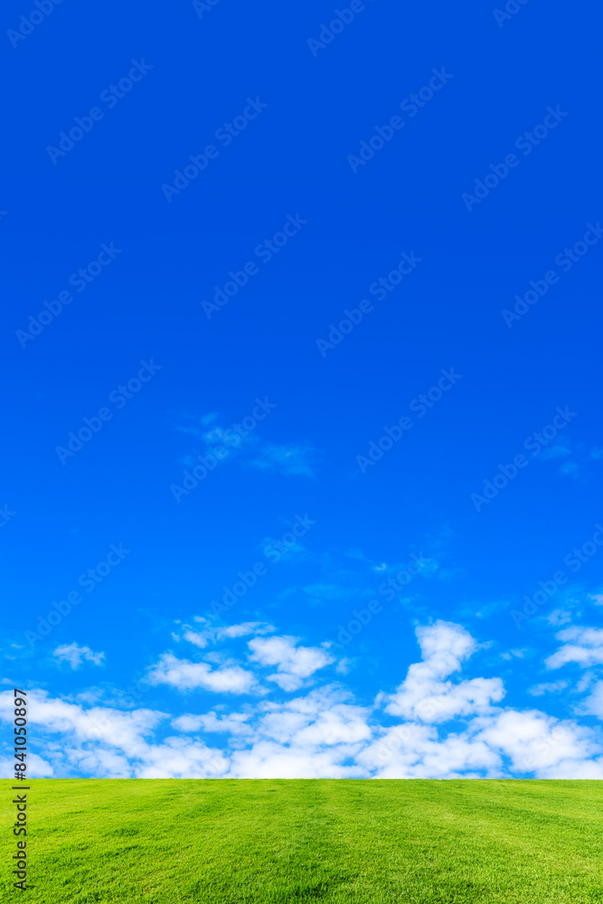 Fototapeta premium 緑の草原と青空