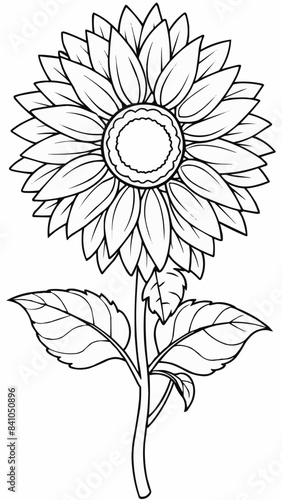 hand drawn flower