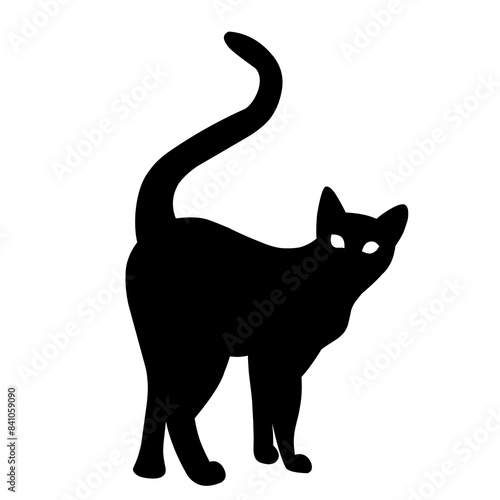 black cat isolated