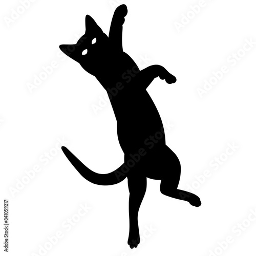 silhouette of a person jumping