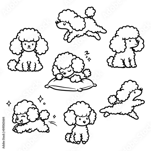 Set of cute poodles in various poses such as sitting, sleeping, and jumping. Perfect vector line art illustration isolated on a white background for creative projects.