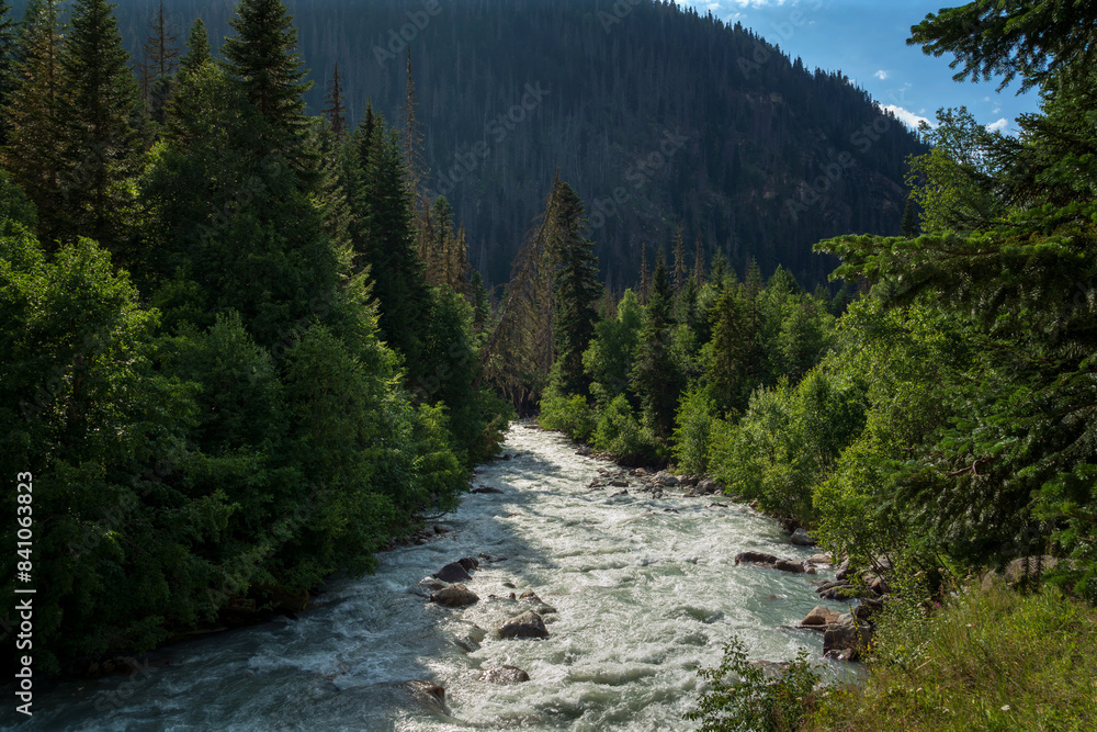 View of the Klukhor River near the Kosygin glade (Buulu Tala) in the Gonachkhir Gorge Dombai on a sunny summer day, Dombai, Karachay-Cherkessia, Russia View of the Klukhor River near the Kosygin glade (Buulu Tala) in the Gonachkhir Gorge Dombai on a sunny summer day, Dombai, Karachay-Cherkessia, Russia