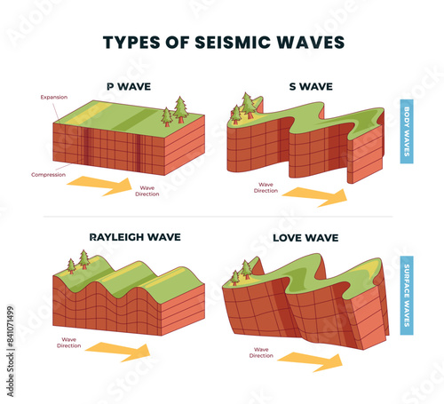 Different types of seismic waves as earth movement in earthquake outline, labeled rayleigh, love and body, surface wave comparison with direction explanation, shaking of the Earth's surface.