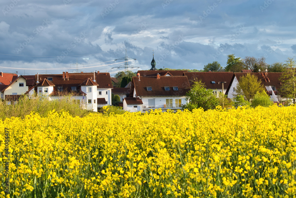 Sun shining on white houses in Lohnsfeld, Germany and blooming rapeseed field on a spring evening.
