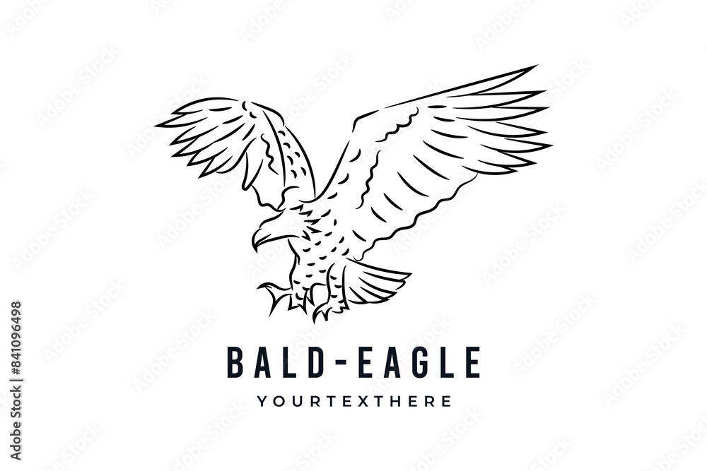 Fototapeta premium Bald eagle flying bird, hand drawn line drawing vector logo illustration