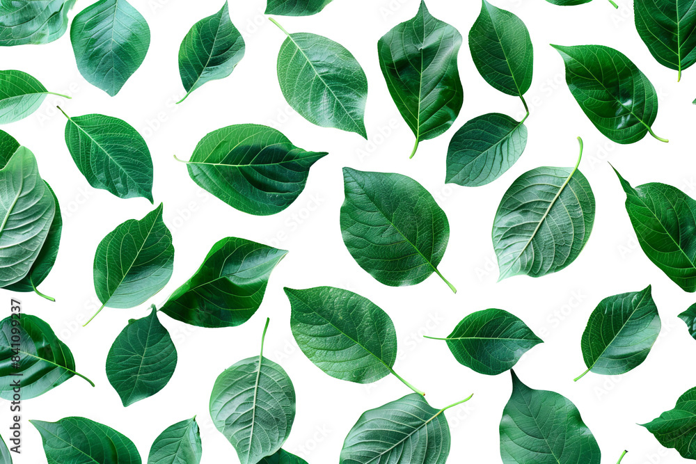 Bright green leaves scattered on a white background, creating a natural Bright green leaves scattered on a white background, creating a natural