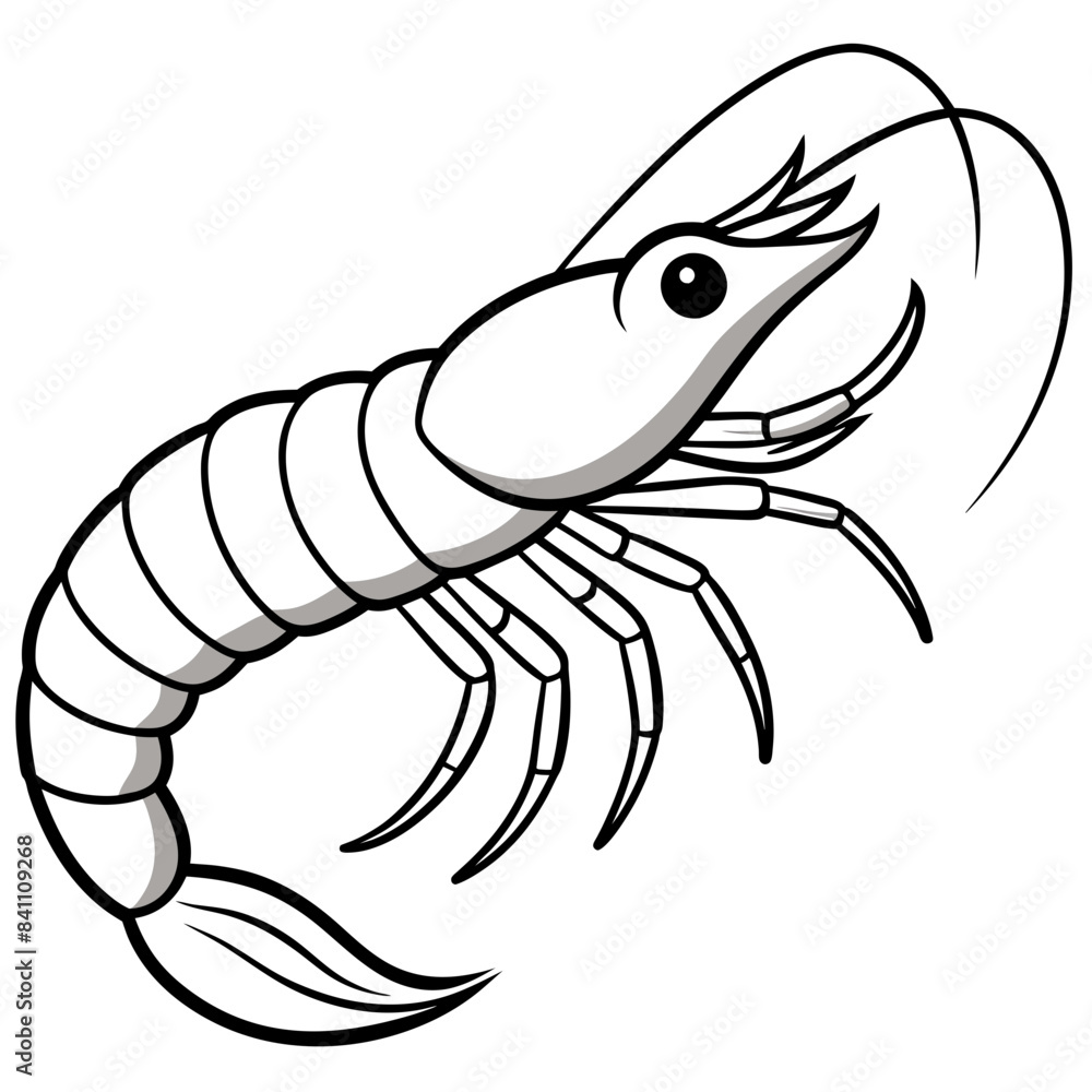 vector illustration of shrimp vector illustration of shrimp