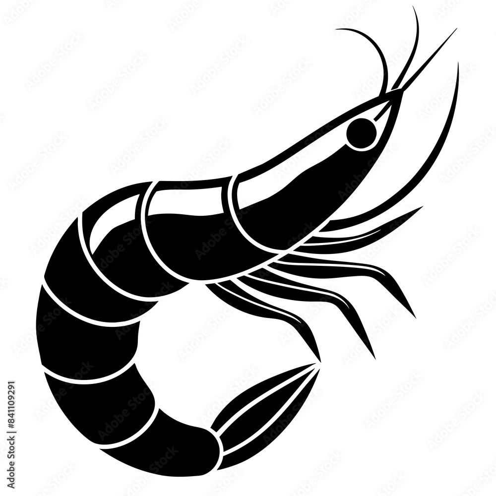 vector illustration of shrimp vector illustration of shrimp