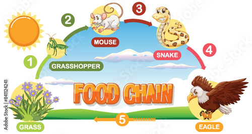 Depicts a simple food chain process