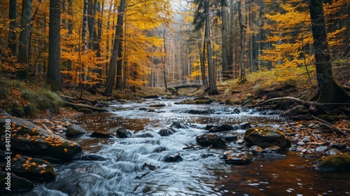 Tranquil river flowing through a forest, autumn colors, peaceful scene photo