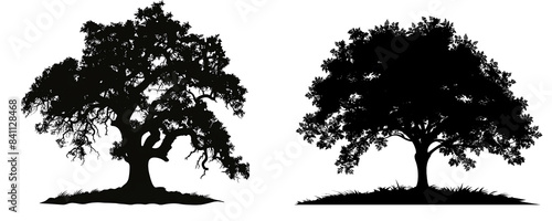 set of silhouette clipart of a large oak tree with sprawling branches