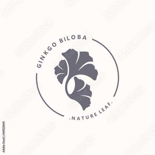 Ginkgo biloba logo nature. Healthy leaf organic used in medicine for disease treatment with line art style design