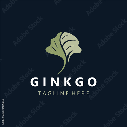 Ginkgo biloba logo nature. Healthy leaf organic used in medicine for disease treatment with line art style design