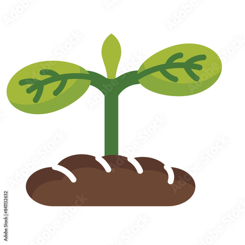 Cotyledon Icon