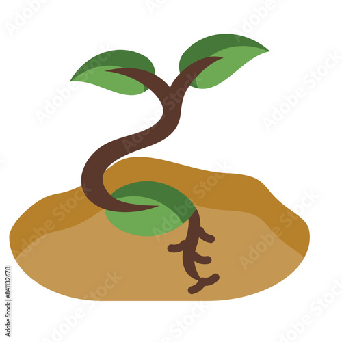Germination Icon