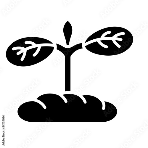 Cotyledon Icon