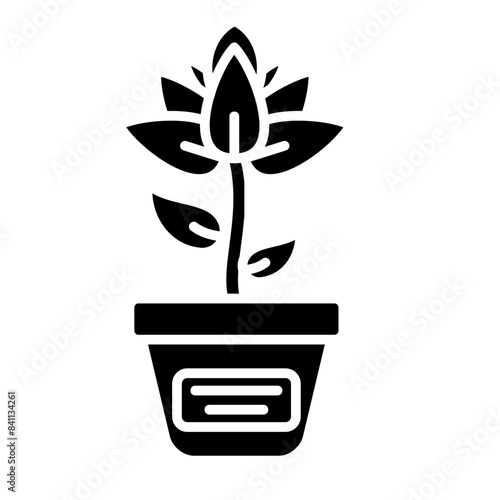 Taxonomy Icon