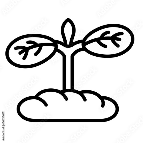 Cotyledon Icon