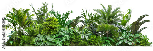 Lush tropical plant border with vibrant greenery, isolated on transparent background. Perfect for nature-themed projects, invitations, and decorative designs. © R Studio