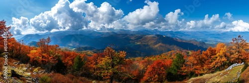 Panorama mountain autumn landscape
