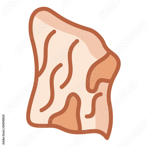 Veneer Icon
