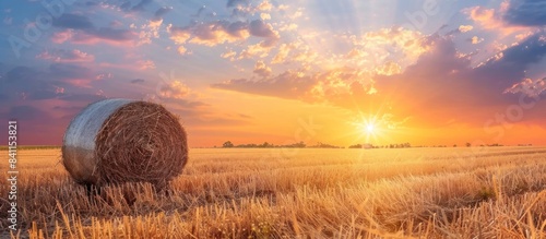 A golden sunset over hay bales in the fields, creating an enchanting and picturesque scene of nature's beauty.