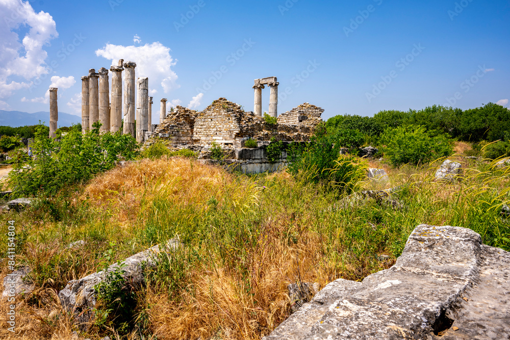 Fototapeta premium The Aphrodite of Aphrodisias (Afrodisias) combined aspects of a local Anatolian, archaic fertility goddess with those of the Hellenic Aphrodite, goddess of love and beauty. Geyre, Karacasu Aydin 