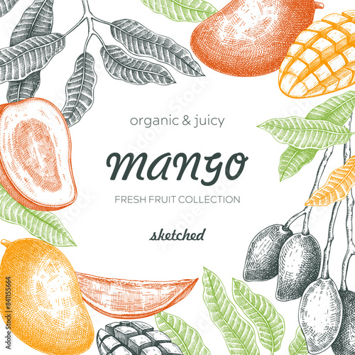 Summer background. Tropical fruit frame. Ripe mango sketch. Hand drawn vector illustration. Packaging, menu template, juice design. Mixed media style. NOT AI generated.