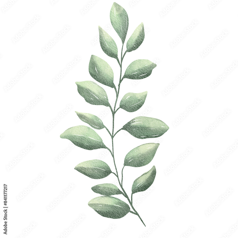 Naklejka premium Watercolor Green Leaf