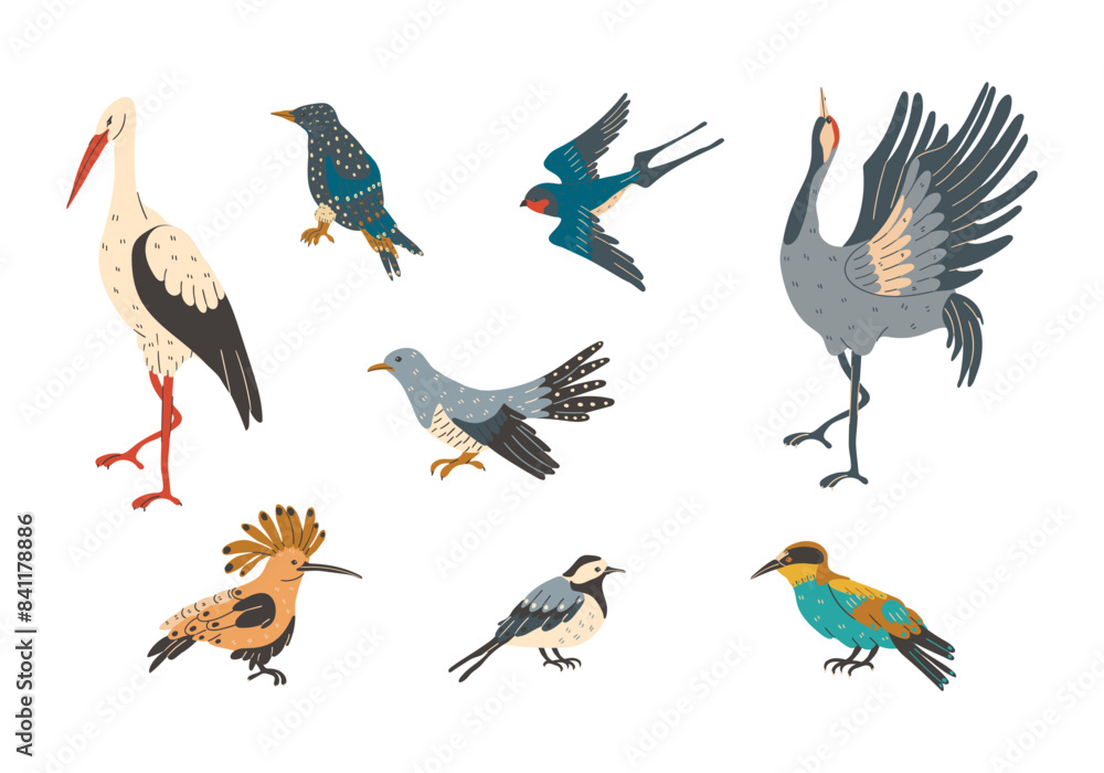 feathered birds hand drawn elements feathered birds hand drawn elements
