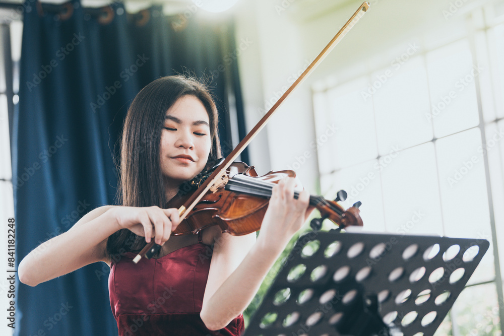 Violinist woman : Portrait of a young female playing the violin. Violinist woman : Portrait of a young female playing the violin.