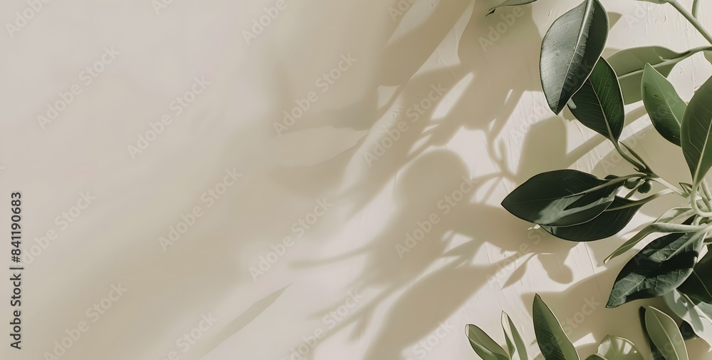 Cream Background With Green Leaves And Shadow Cream Background With Green Leaves And Shadow