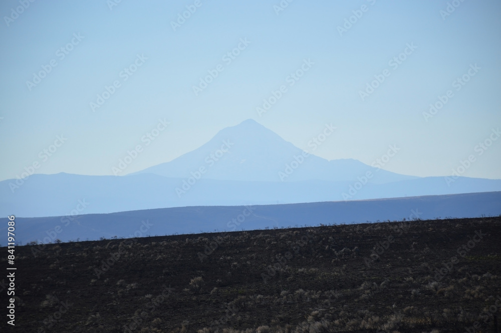 Fototapeta premium Charred Field with Distant View of Mt. Hood on a Clear Day