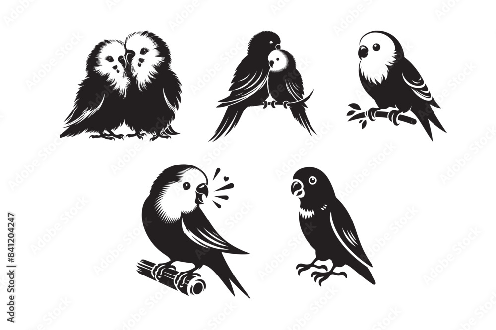 Lovebird Cockatiel vector silhouette different poses collection set Lovebird Cockatiel vector silhouette different poses collection set