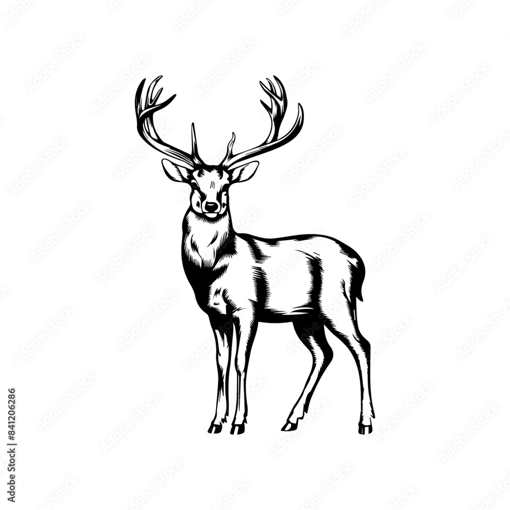 Fototapeta premium deer silhouette vector