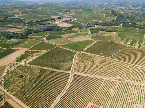 Panoramic view from drone of vineyard landscape in Penedes, Spain