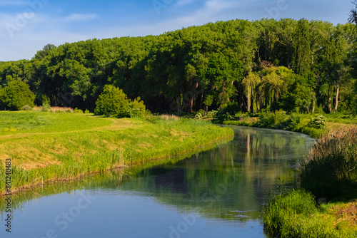 idyllic summer landscape bright day country side environment space of river green lawn and forest edge