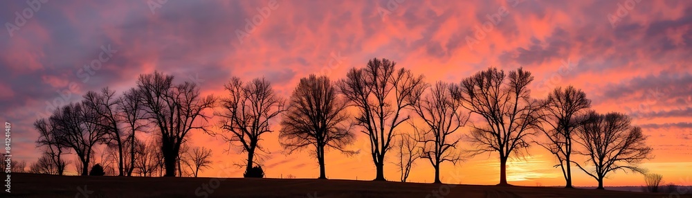 a stunning sunset illuminates a row of tall trees, including bare and leafless ones, set against a vibrant red and orange sky a stunning sunset illuminates a row of tall trees, including bare and leafless ones, set against a vibrant red and orange sky