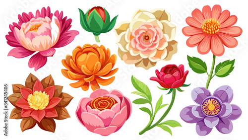 Vibrant Floral Collection for Creative Projects, Diverse Flower Set for Designers