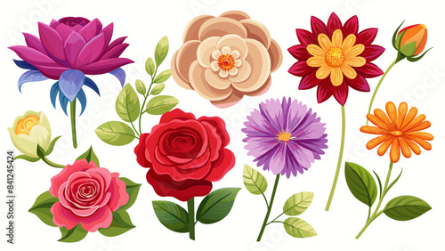Vibrant Floral Collection for Creative Projects, Diverse Flower Set for Designers