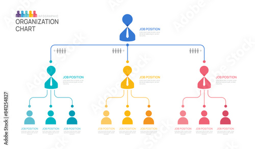 Infographic template for organization chart with business people icons. vector infographic for business.