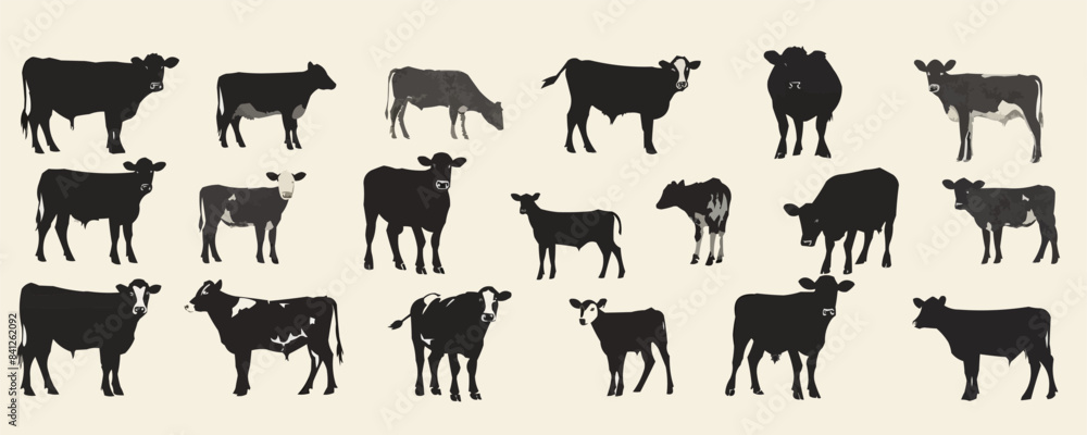 Obraz premium A row of cows in various sizes and positions