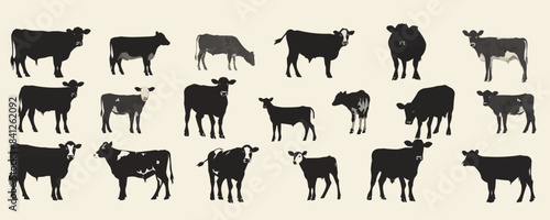 A row of cows in various sizes and positions