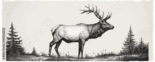 elk Engraving style. Simple pencil drawing vector