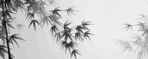Bamboo | Minimalist and Simple Line White background - Vector illustration